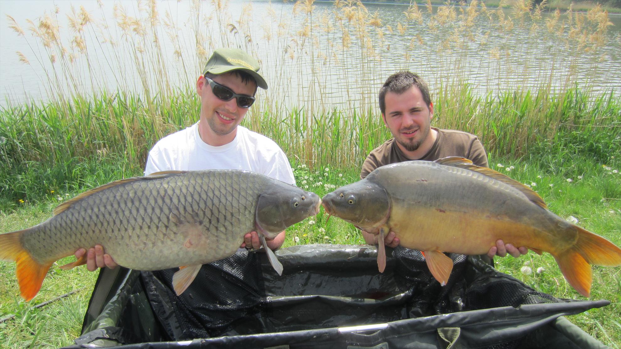 Harsany 1 - 5 mai. - img2576.JPG